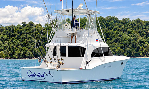 Circle Hook - 37' Hatteras